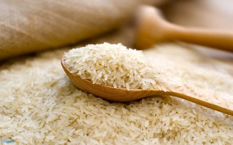 1121 Basmati Rice grains